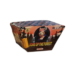 Kompakt Sons of the forest 36 ran